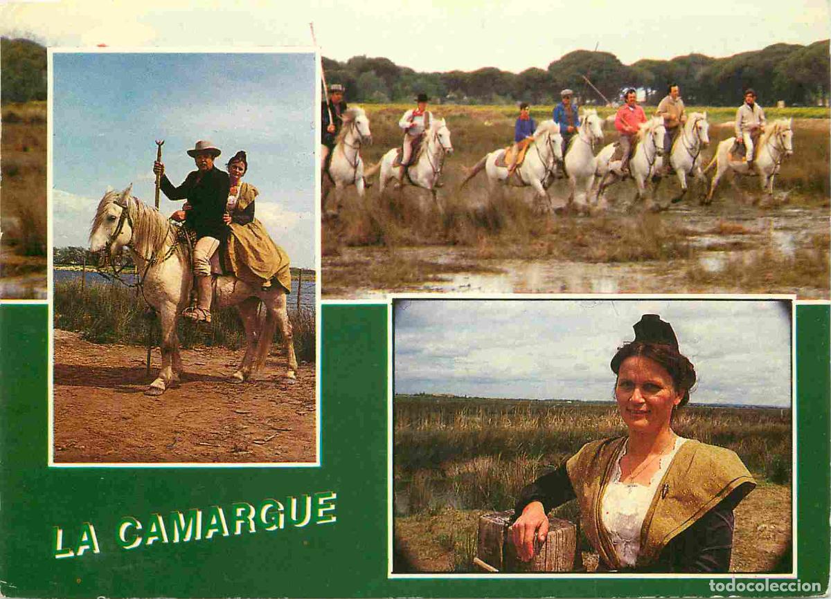 Postcards: Francia - Carte Postale - 13 - Camargue - Multivues - Gardian chevauch&eacute;e de gardians Arl&eacute;sienne - CP