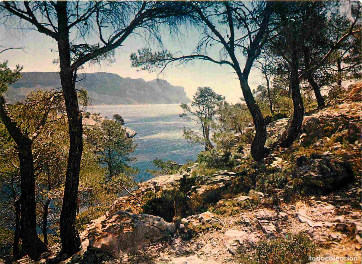 Postcards: Francia - Carte Postale - 13 - Cassis-sur-mer - Sur le chemin des Calanques - Le Cap Canaille - CPM