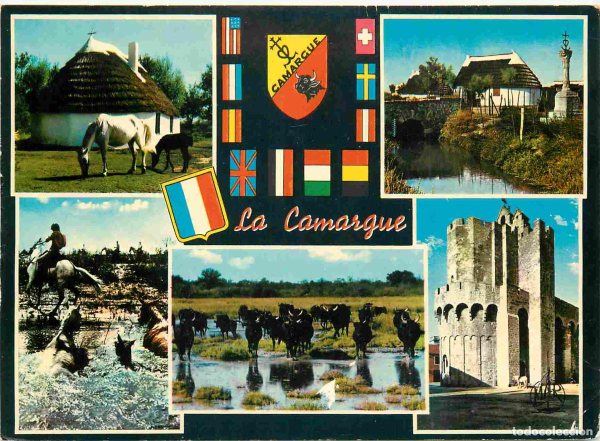 Postcards: Francia - Carte Postale - 13 - Camargue - Multivues - Cabane de gardians la croix des f&eacute;libres passa