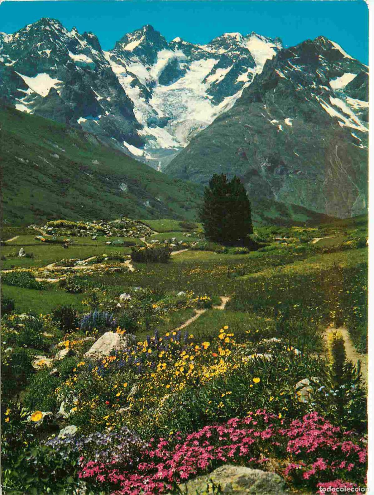 Postales: Francia - Carte Postale - 05 - Hautes Alpes - Route de grenoble &agrave; brian&ccedil;on Le jardin alpin au col du