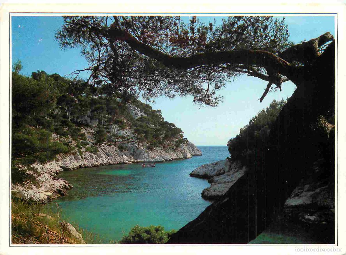 Cartoline: Francia - Carte Postale - 13 - Cassis - Calanque de Port-Pin - CPM - Voir Scans Recto-Verso