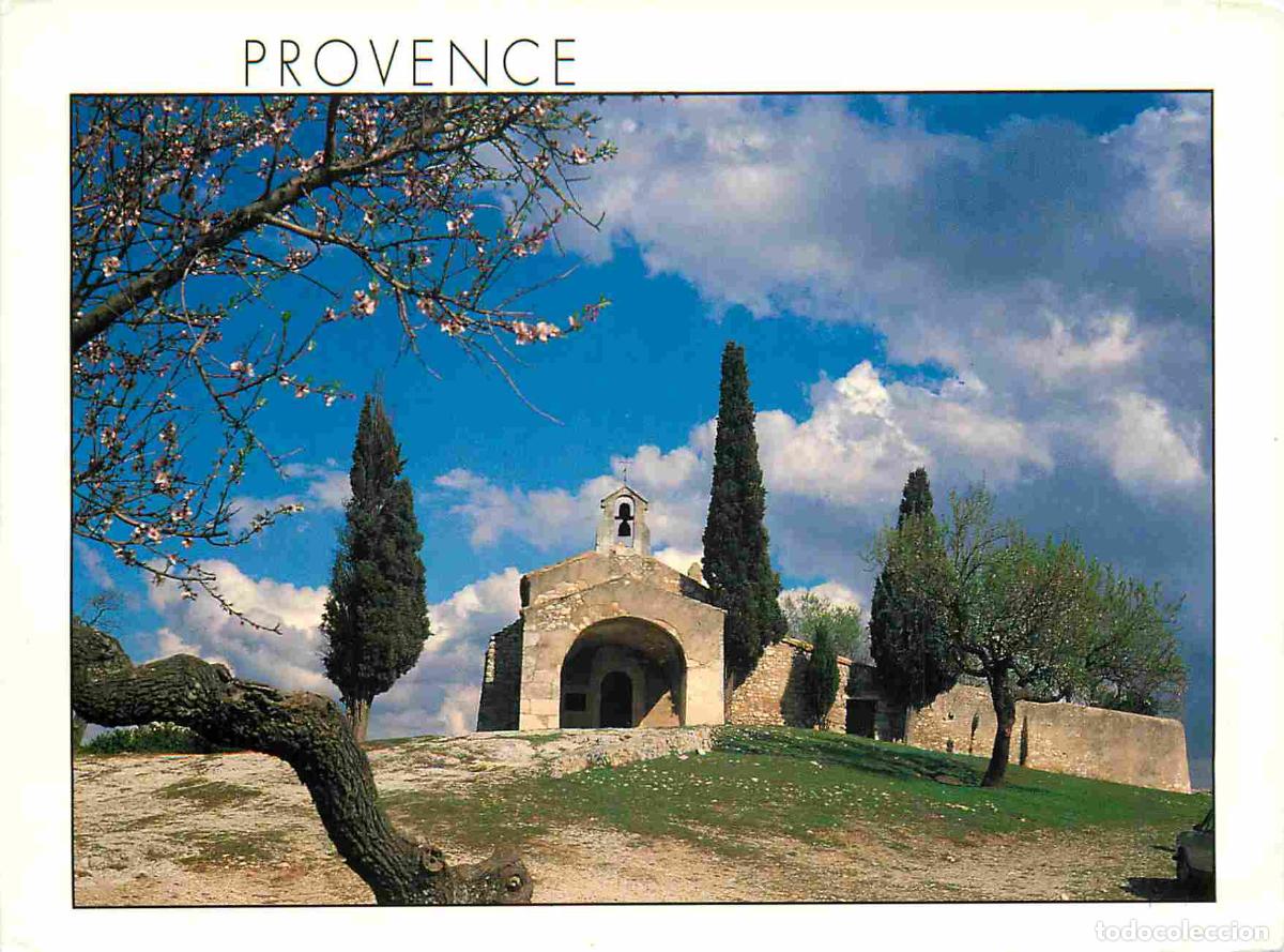 Cartoline: Francia - Carte Postale - 84 - Provence - CPM - Voir Scans Recto-Verso
