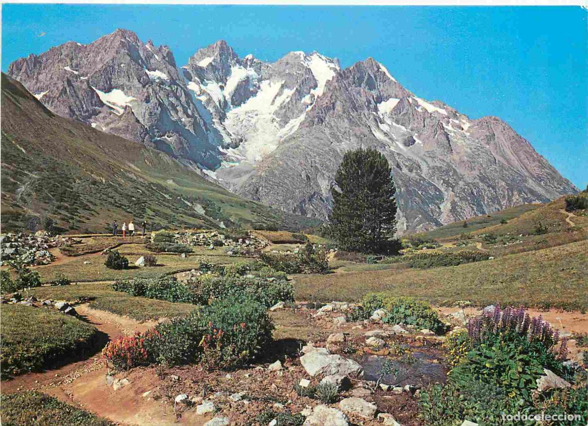 Postkarten: Francia - Carte Postale - 05 - Le mon&ecirc;tier-les-bains - Col du Lautaret - Le Jardin Alpin et la Meije