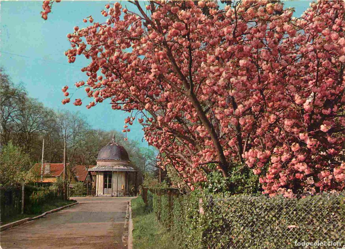 Postais: Francia - Carte Postale - 91 - Draveil - Paris Jardins - CPM - Voir Scans Recto-Verso