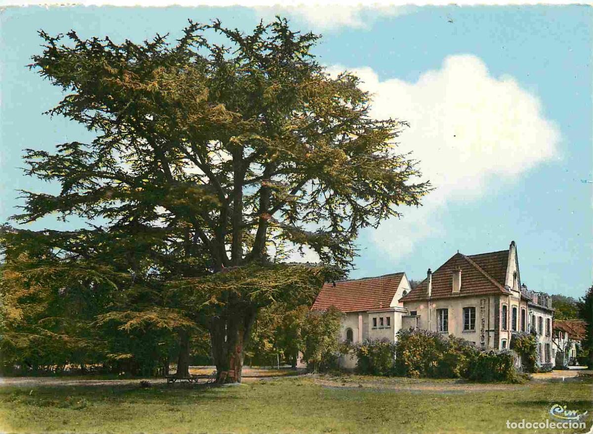 Cartoline: Francia - Carte Postale - 91 - Morangis - Le d&eacute;sert - institution st-joseph - vue lat&eacute;rale les c&egrave;dre