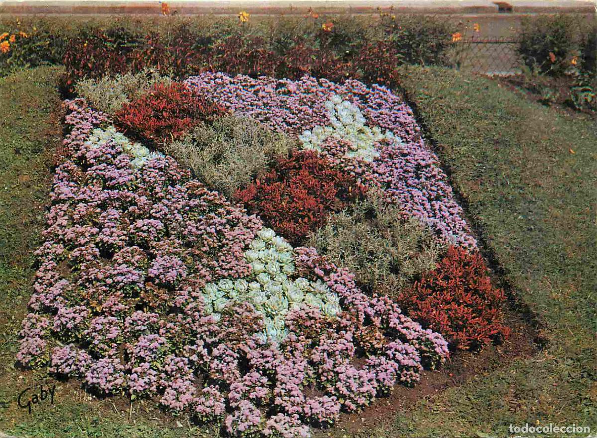 Cartoline: Francia - Carte Postale - 27 - Evreux - Les armes de la ville - Fleurs - CPM - Voir Scans Recto-Vers