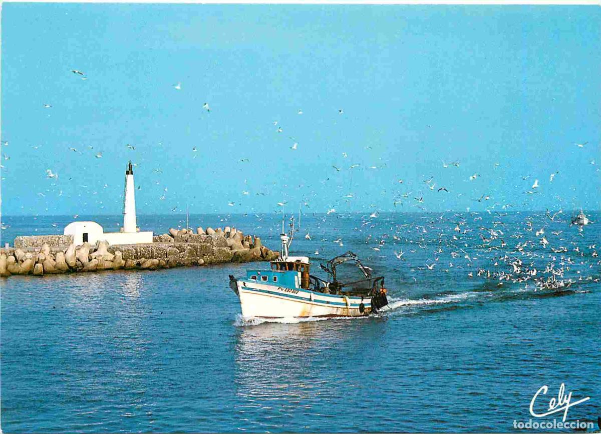 Postais: Francia - Carte Postale - 11 - Port La Nouvelle - Retour de p&ecirc;che - Bateaux - CPM - Voir Scans Recto