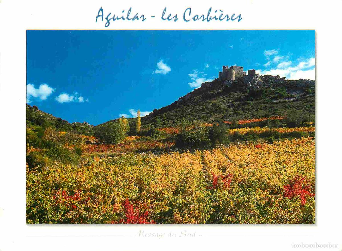 Cartoline: Francia - Carte Postale - 11 - Aguilar - Le vignoble des corbi&egrave;res en automne domin&eacute; par le ch&acirc;teau