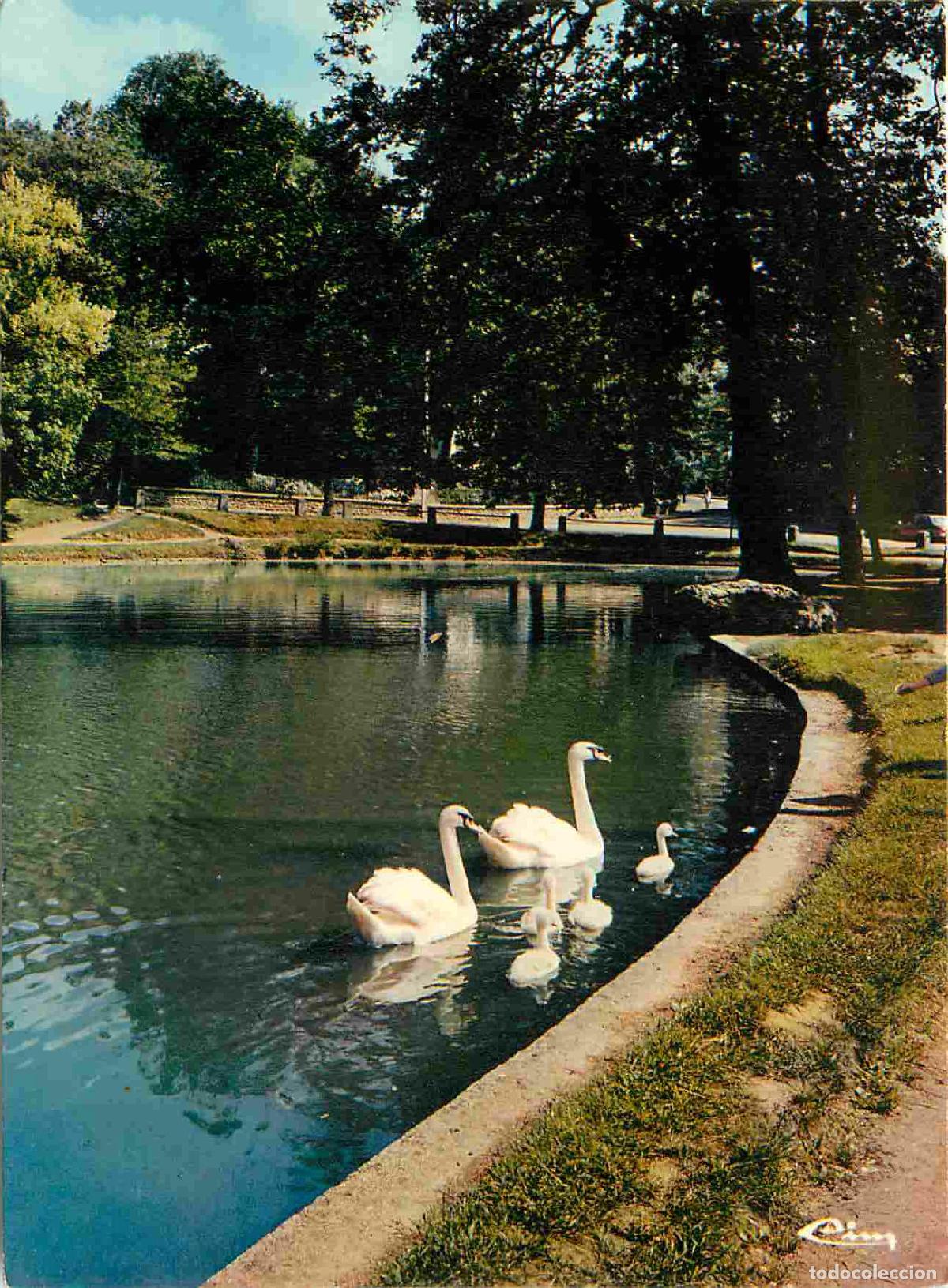 Cartoline: Francia - Carte Postale - 91 - Verrieres-le-buisson - Le lac - CPM - Voir Scans Recto-Verso