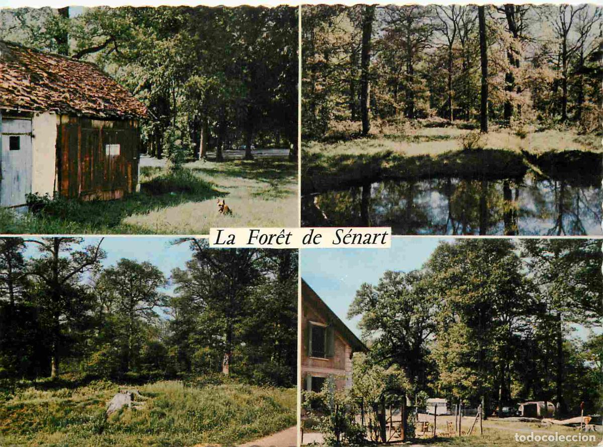 Postkarten: Francia - Carte Postale - 91 - For&ecirc;t de S&eacute;nart - Multivues - CPM - Voir Scans Recto-Verso