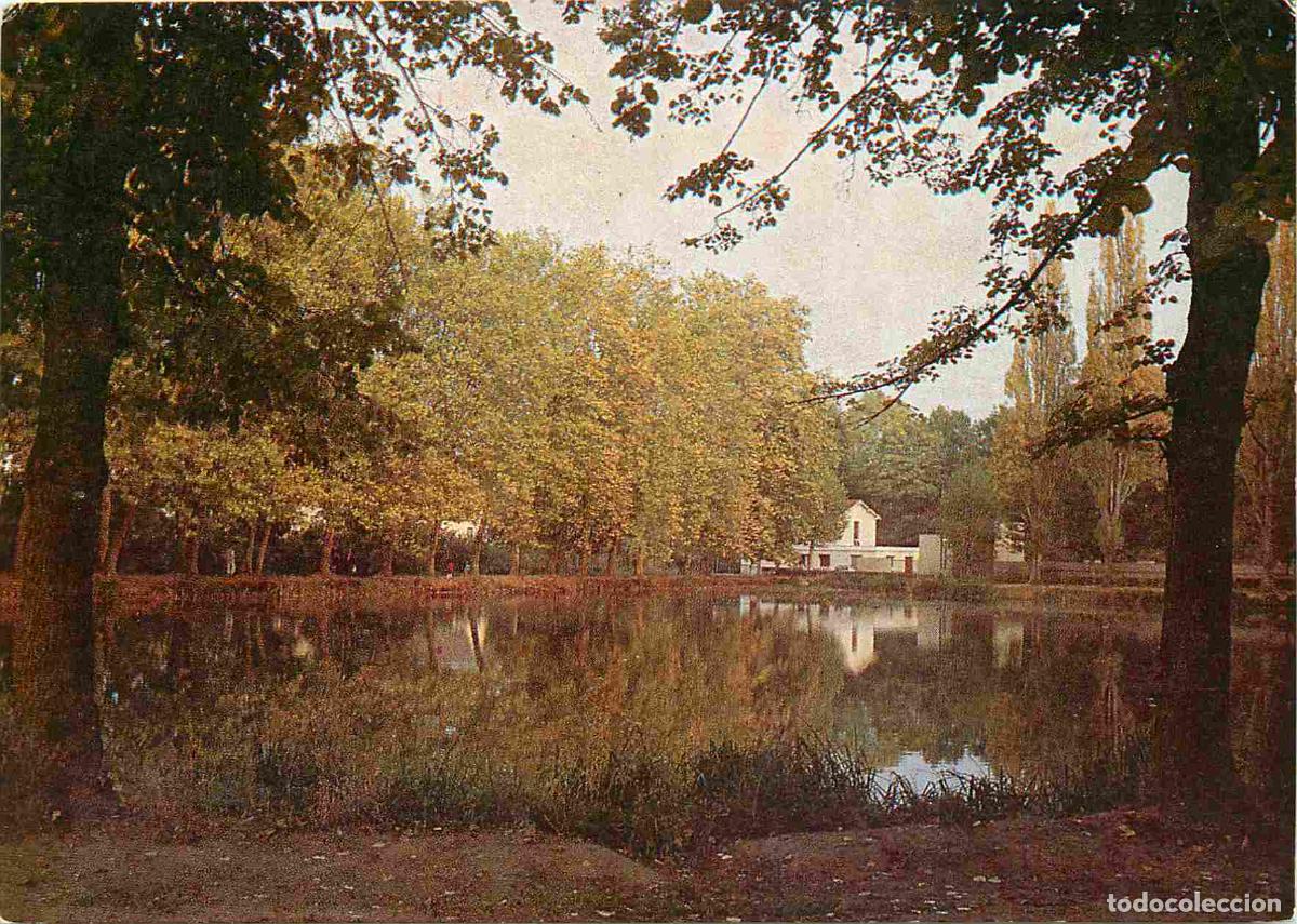 Postkarten: Francia - Carte Postale - 91 - Orsay - Le lac - CPM - Voir Scans Recto-Verso