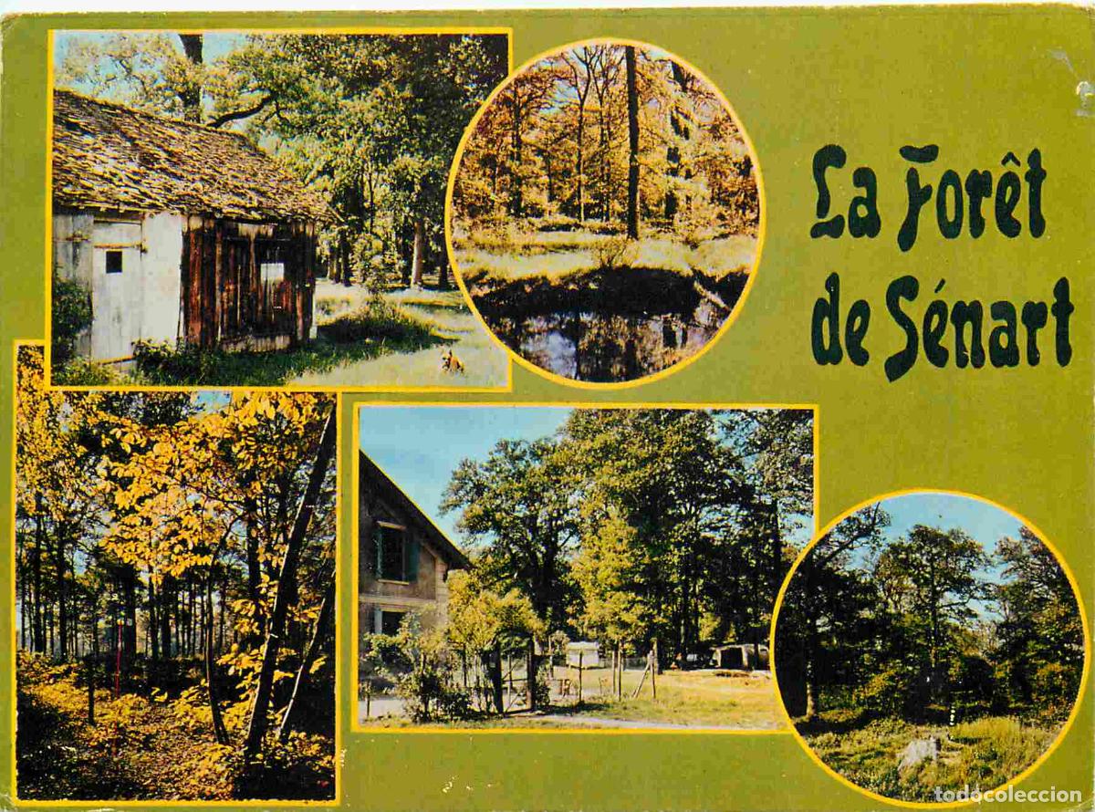 Postales: Francia - Carte Postale - 91 - For&ecirc;t de S&eacute;nart - Multivues - CPM - Voir Scans Recto-Verso