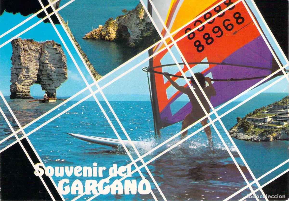 Postales: Postal Souvenir del Gargano con Escenas de Windsurf y Costa