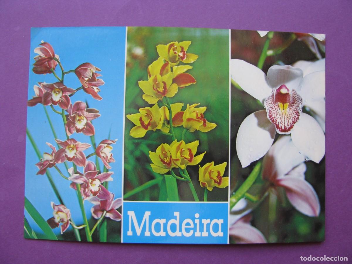 Postales: POSTAL DE PORTUGAL. FUNCHAL. MADEIRA. ORQUIDEAS.