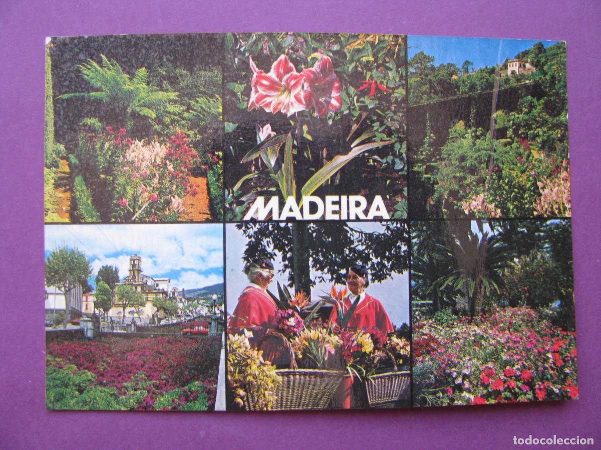 Postales: POSTAL DE PORTUGAL. MADEIRA. CIRCULADA.