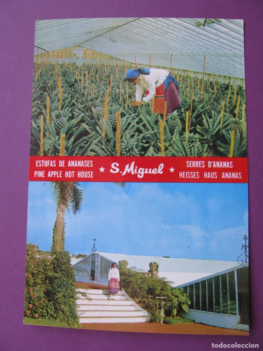 Postales: POSTAL DE ISLAS AZORES. A&Ccedil;ORES. S. MIGUEL.