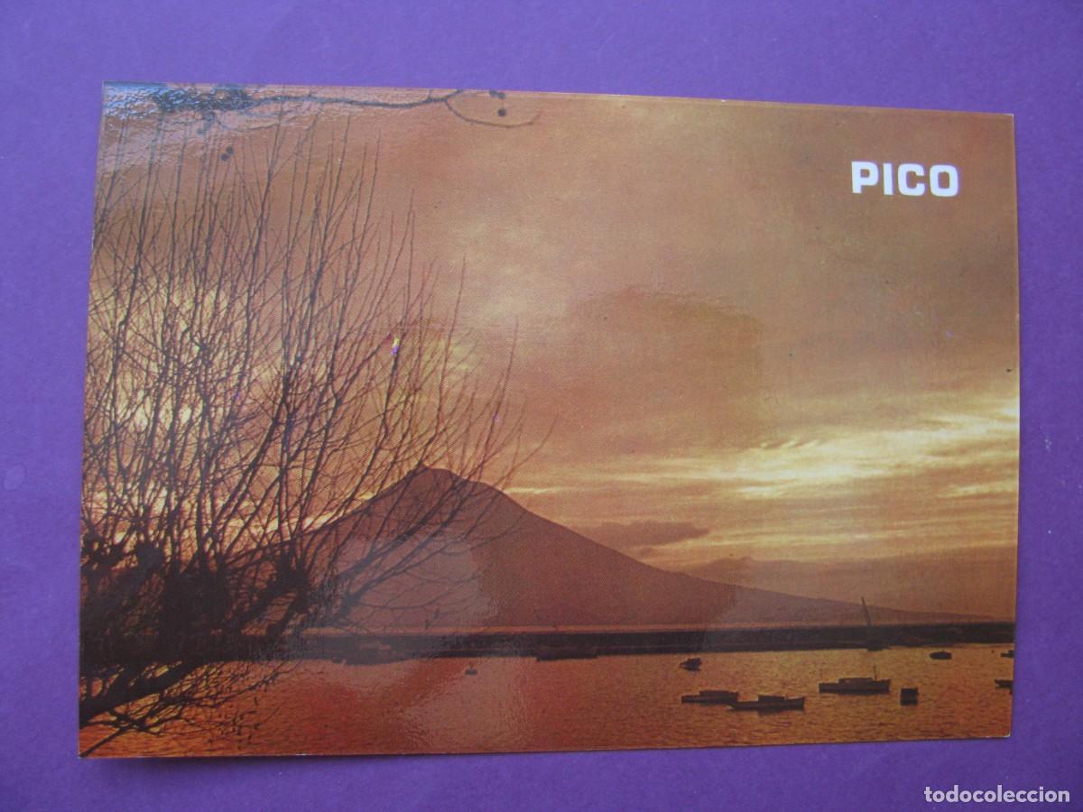 Postales: POSTAL DE ISLAS AZORES. A&Ccedil;ORES. ISLA DE PICO