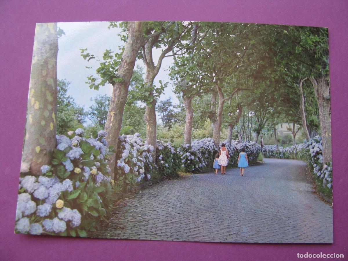 Postales: POSTAL DE ISLAS AZORES. A&Ccedil;ORES. SAN MIGUEL.