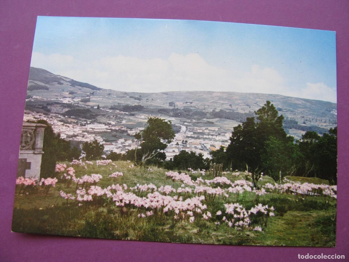 Postales: POSTAL DE ISLAS AZORES. A&Ccedil;ORES. ILHA TERCEIRA