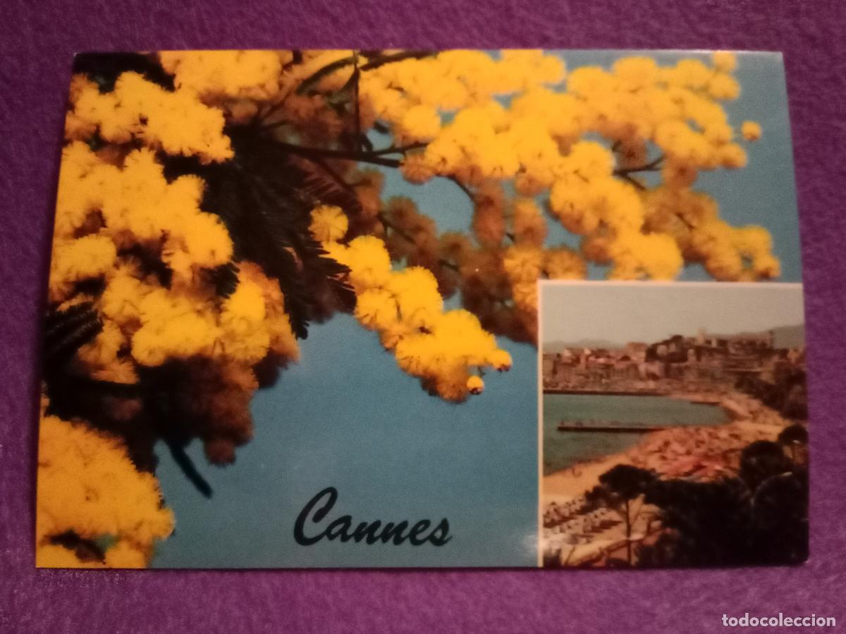 Postales: Postal - CANNES - Souvenir de Cannes