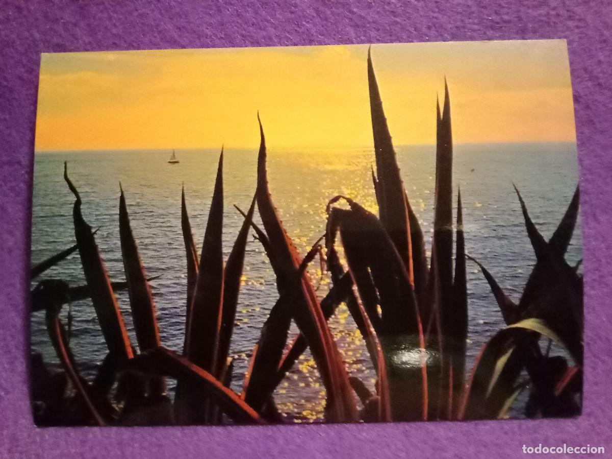 Postales: Postal - Costa Azul - Atardecer