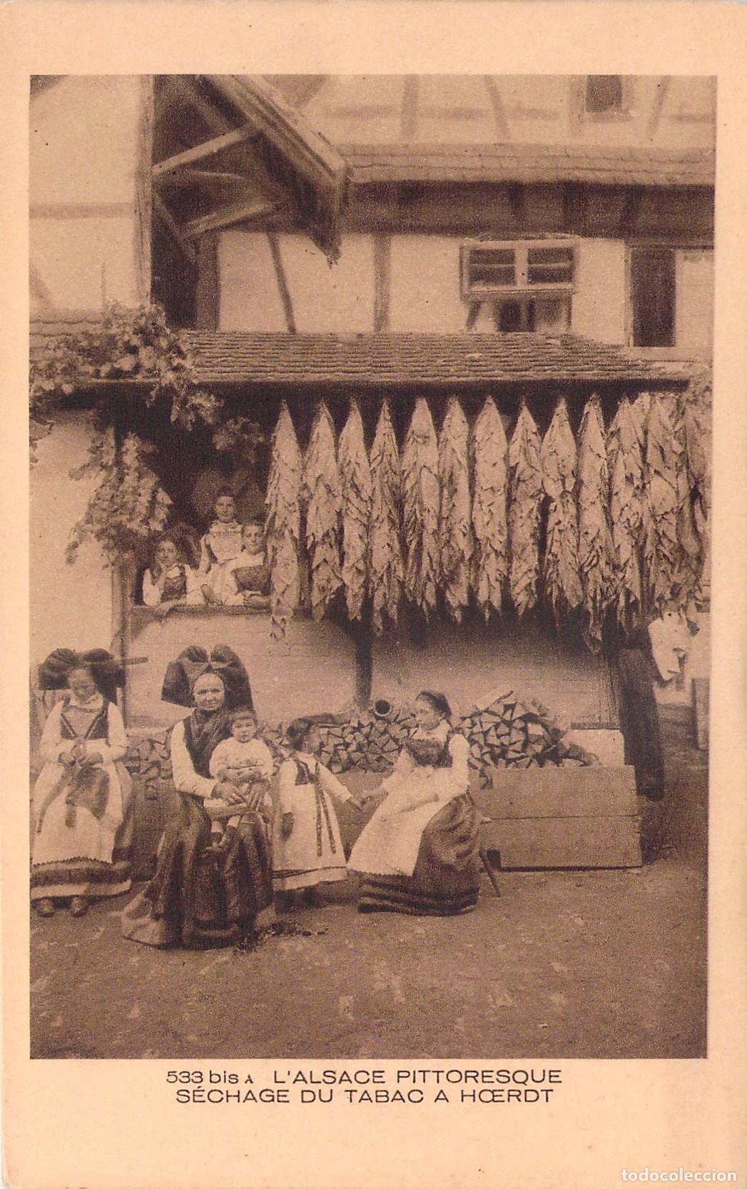 Postales: Postal Secado de Tabaco en Hoerdt Alsacia Trajes T&iacute;picos