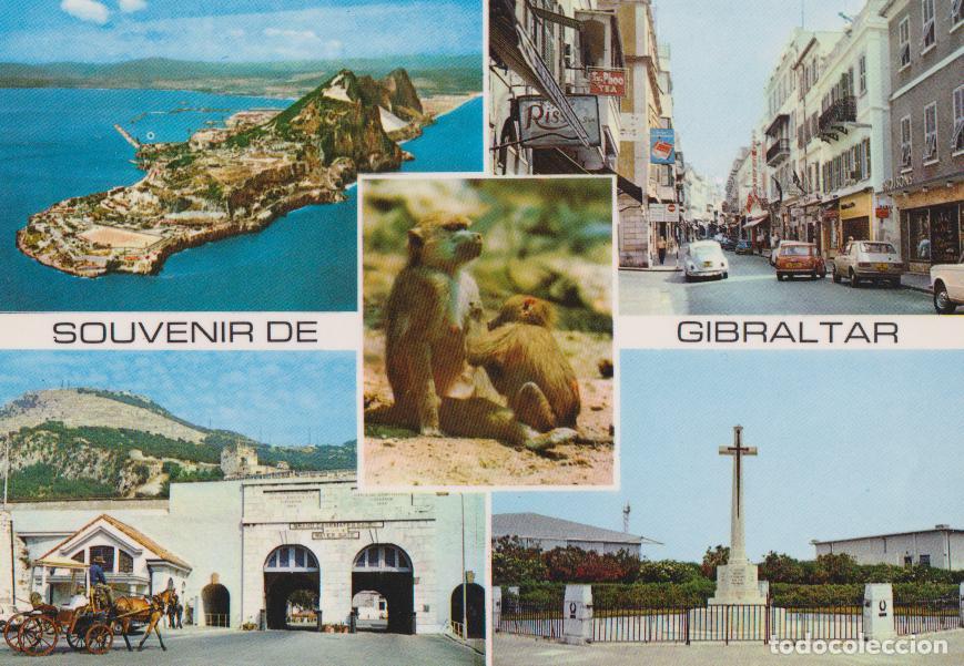 Postales: GIBRALTAR, COSTA DEL SOL, SOUVENIR DE GIBRALTAR - EDICIONES CINEFILM - CIRCULADA