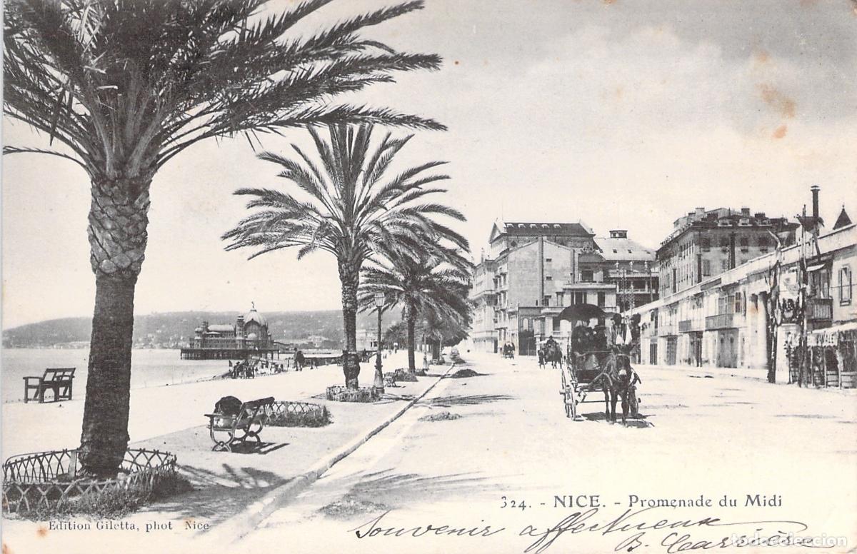 Postcards: Postal de Niza - Promenade du Midi con Palmeras