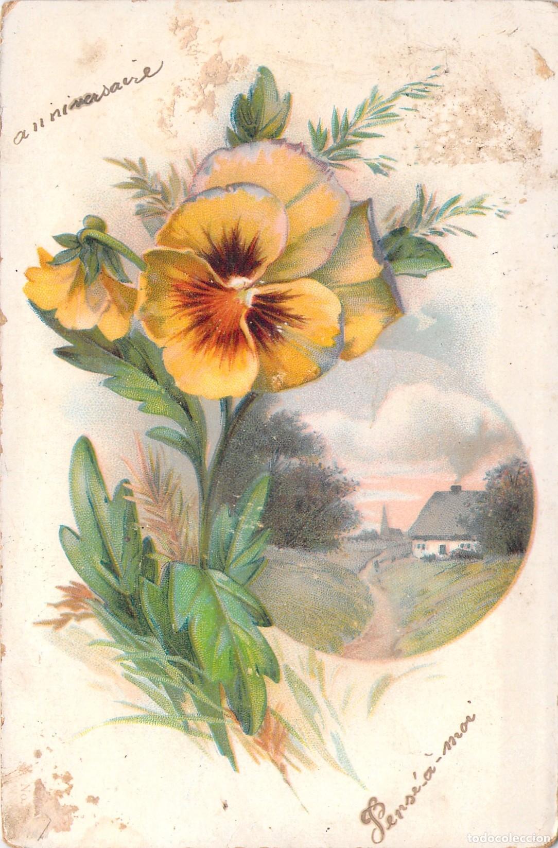 Postcards: Postal con Ilustraci&oacute;n de Flores de Pensamiento y Paisaje Franc&eacute;s