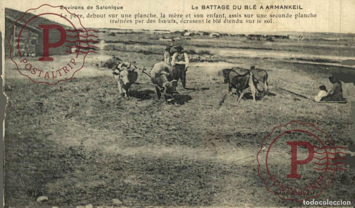 Postales: GRECIA. GREECE. GRECE. ARMANKEIL BATTAGE DES BLES environs de SALONIQUE