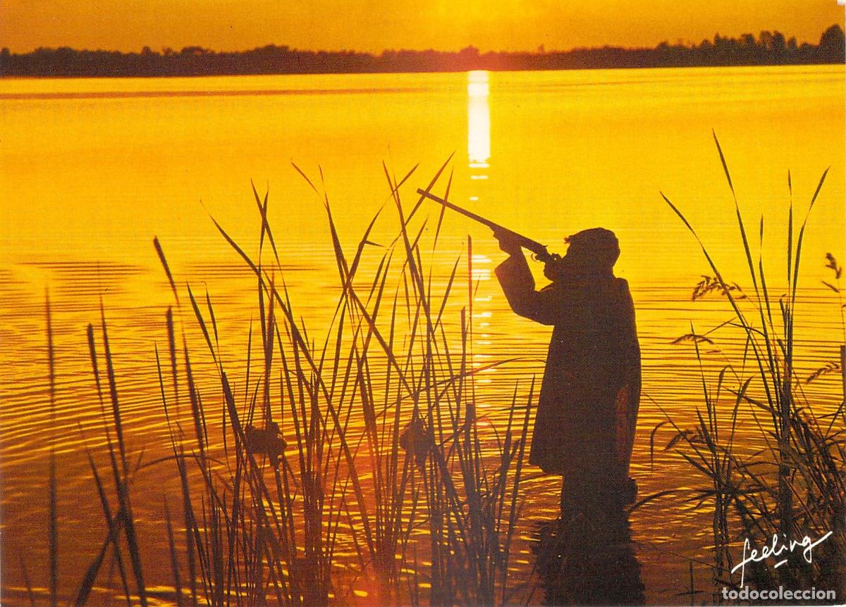 Postales: Postal Atardecer de Caza Silueta de Cazador en Laguna