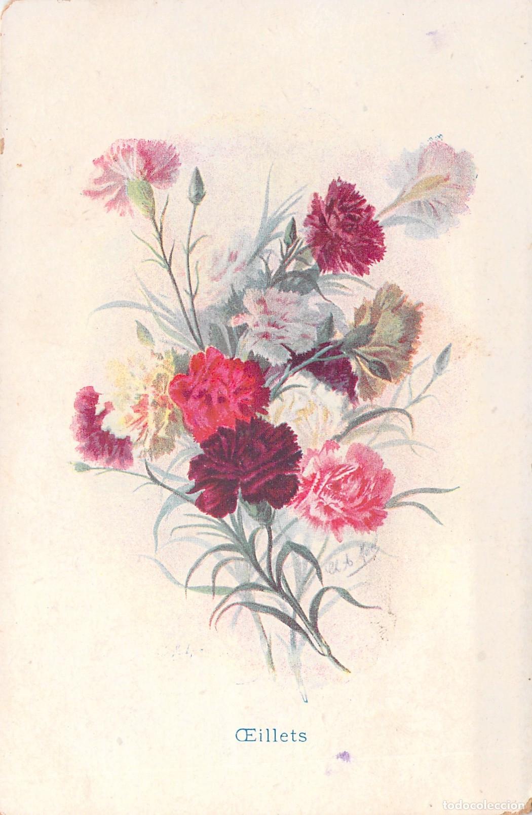 Postales: Postal con Ilustraci&oacute;n de Ramo de Claveles de Colores