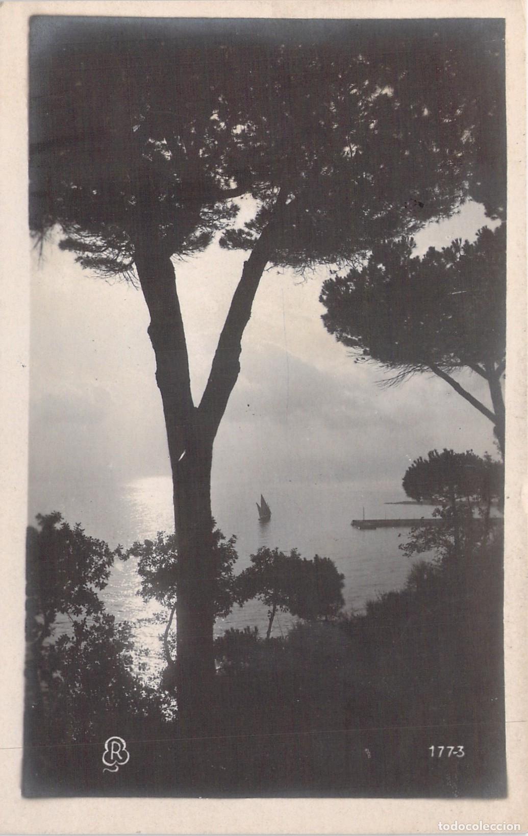 Postais: Postal Antigua de Paisaje Costero Italiano con Pino y Velero