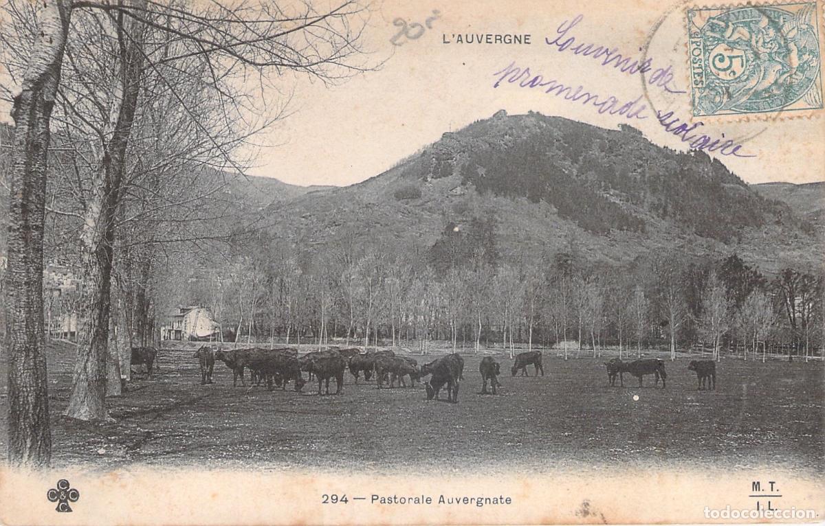 Postais: Postal de Paisaje Rural con Vacas en Auvernia Francia