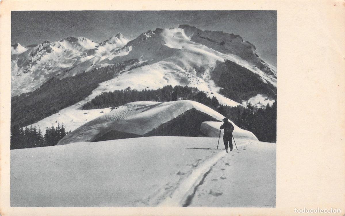 Postales: Postal de Esquiador en Paisaje de Monta&ntilde;a Nevado