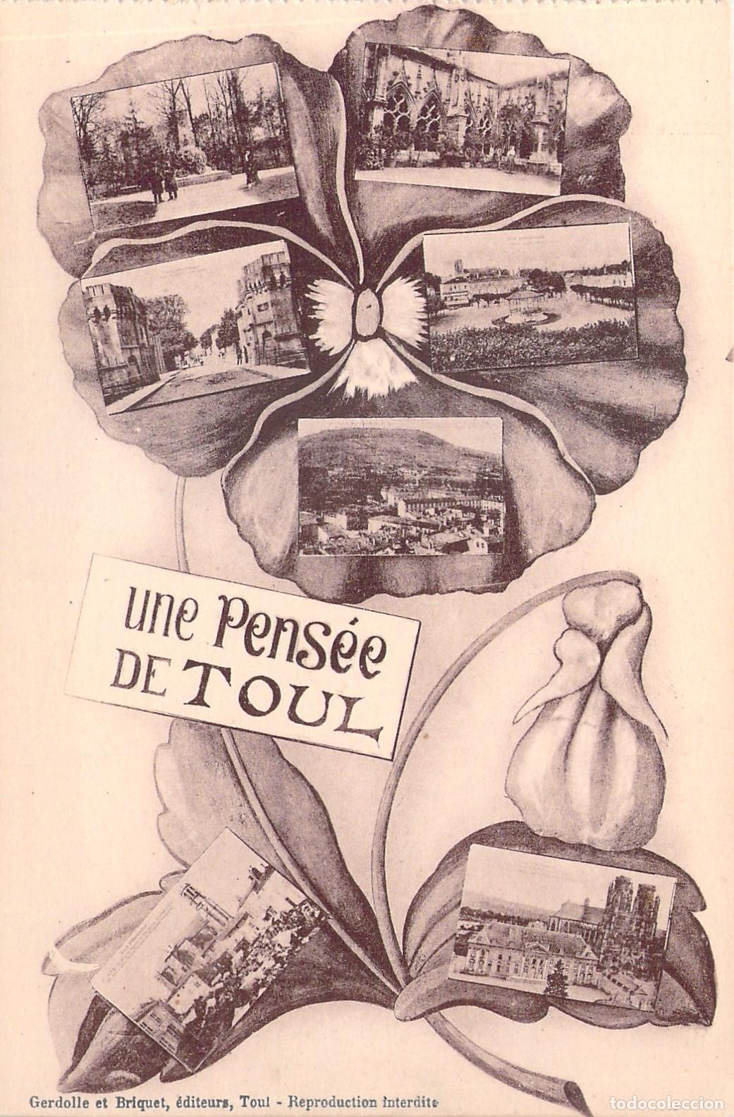 Postales: Postal de Recuerdo une Pens&eacute;e de Toul con Vistas