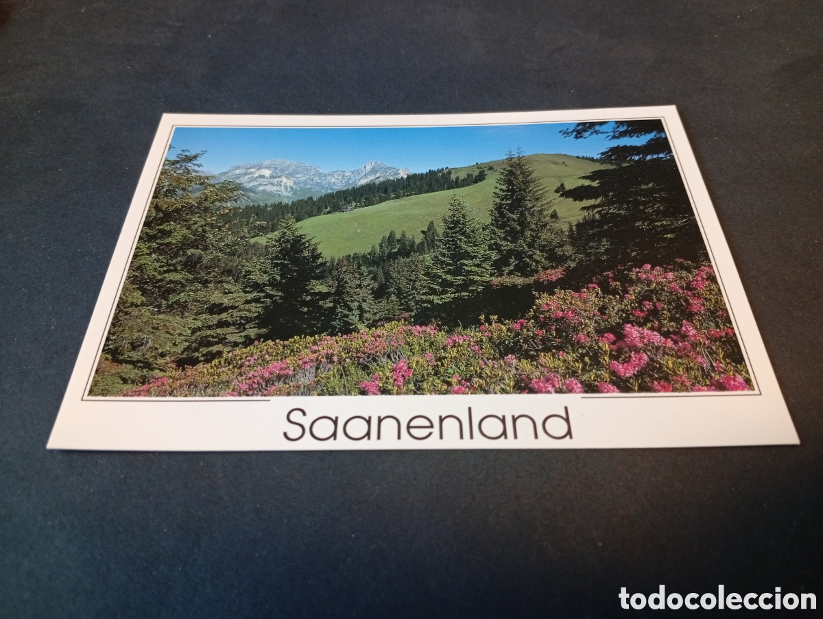 Postales: Postal Saanenland......