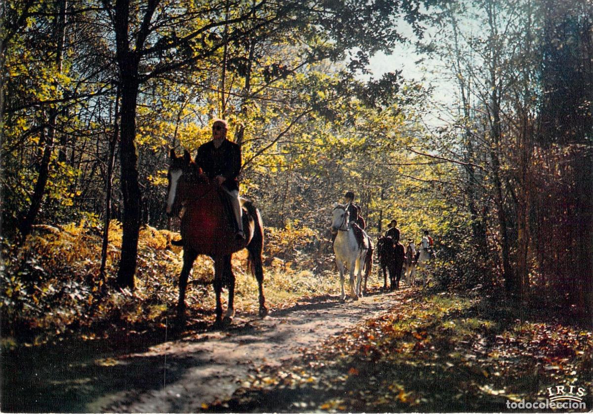 Cartoline: Postal Paseo a Caballo en el Bosque de Limousin
