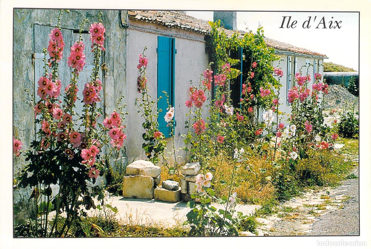 Postales: Postal de la &Icirc;le d'Aix con Casa de Malvarrosas en Flor