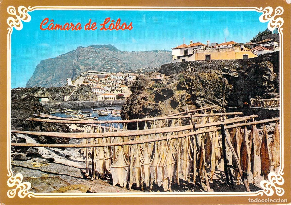 Postales: Postal de C&acirc;mara de Lobos Madeira Secado de Pescado