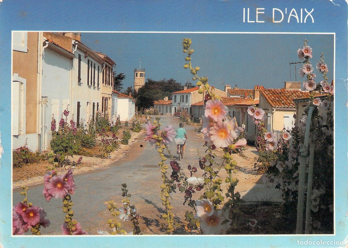 Postales: Postal de la Isla de Aix, Calle con Malvarrosas, Charente-Maritime