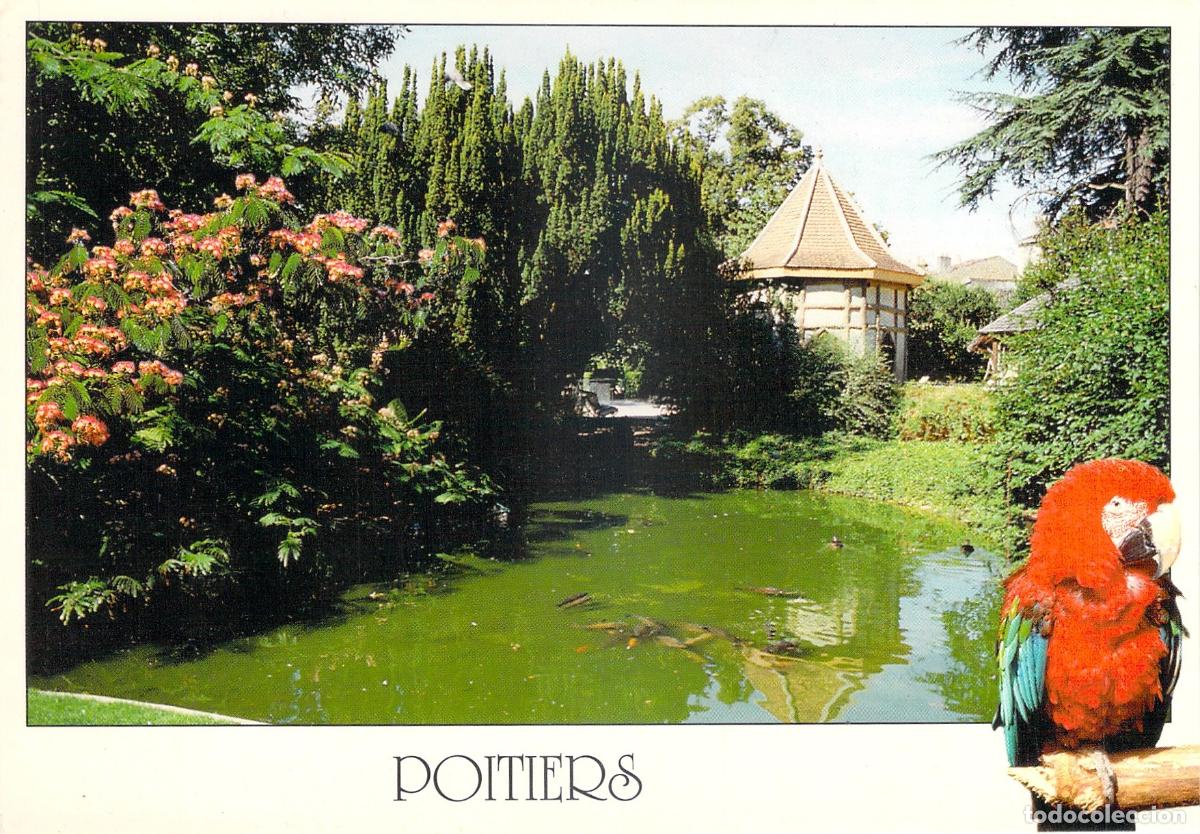 Postales: Postal del Jard&iacute;n de Blossac en Poitiers con Guacamayo