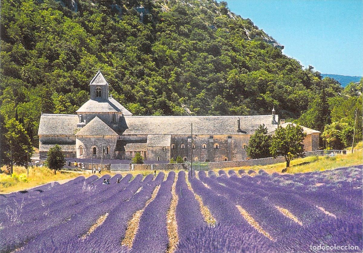 Postales: Postal de la Abad&iacute;a de S&eacute;nanque y Campos de Lavanda en Provenza