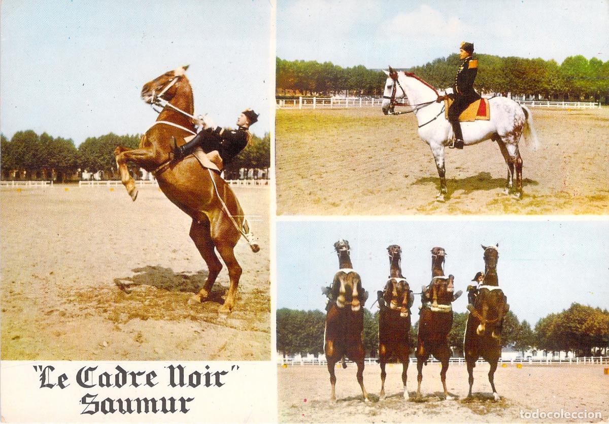 Postales: Tarjeta Postal Le Cadre Noir de Saumur Escuela Ecuestre Francia