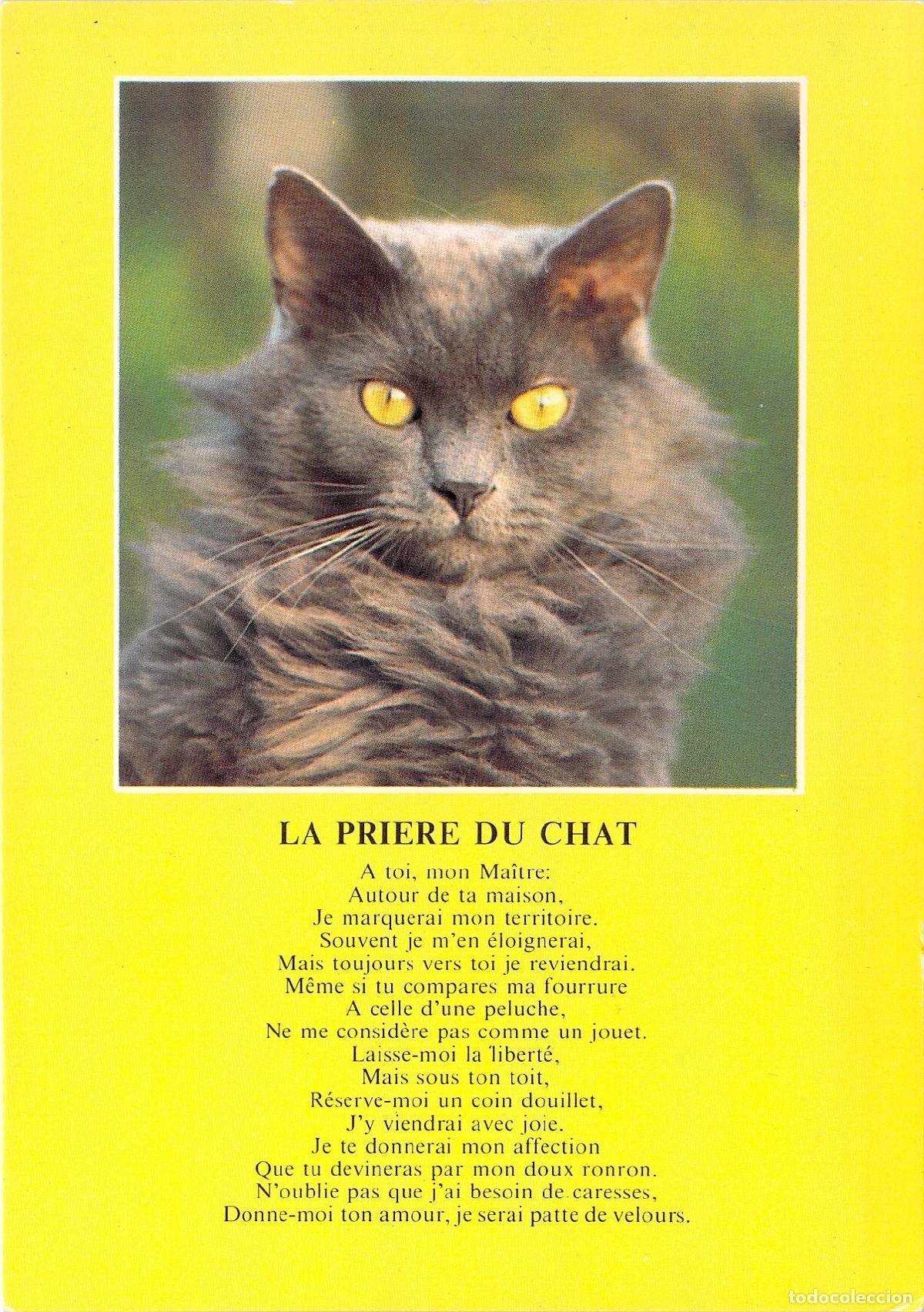 Postales: Postal Francesa La Oraci&oacute;n del Gato de Ediciones Dubray
