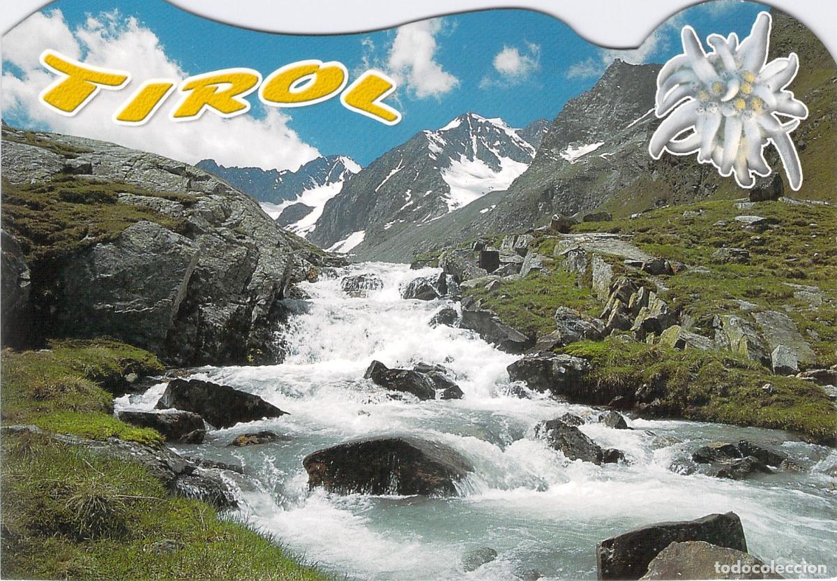 Postales: Postal de Tirol con R&iacute;o de Monta&ntilde;a y Flor de Edelweiss
