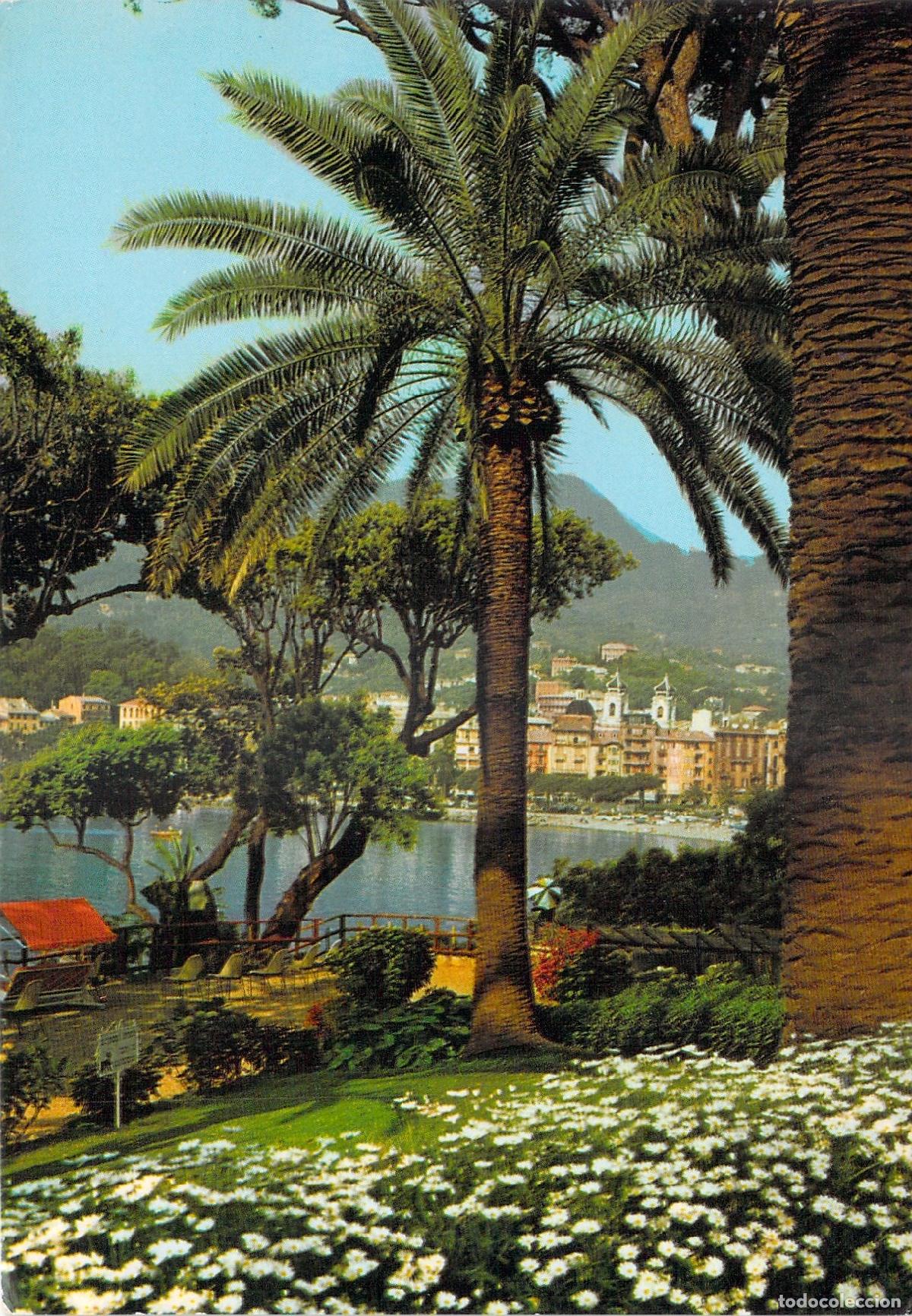 Postales: Postal de Santa Margherita Ligure, Vista desde el Hotel Continental