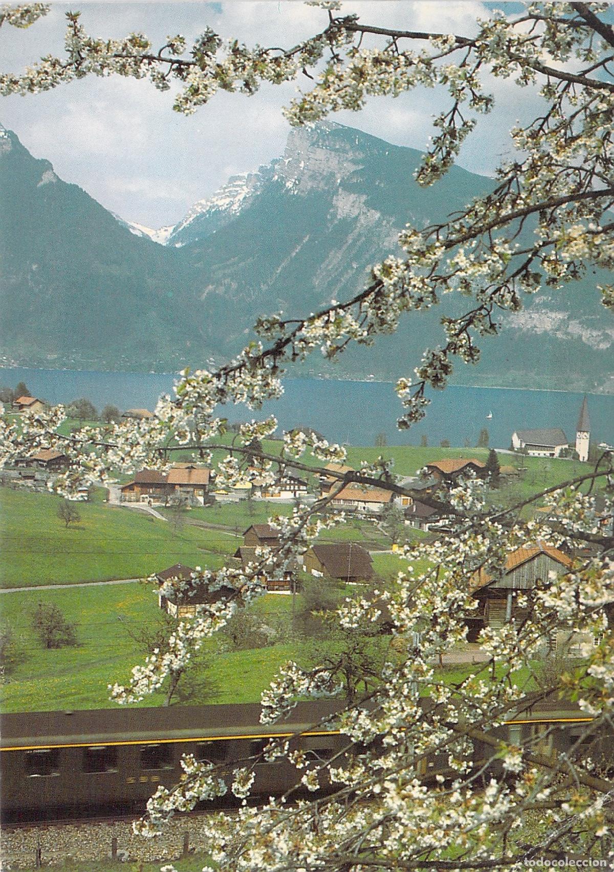 Postales: Postal de Spiez am Thunersee con Tren SBB y Paisaje de Suiza