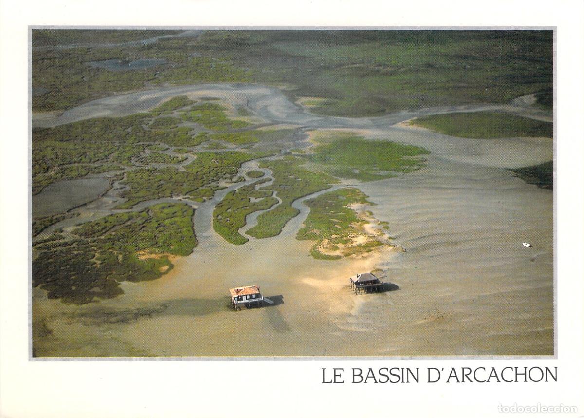 Cartoline: Postal de la Isla de los P&aacute;jaros en el Bassin d'Arcachon