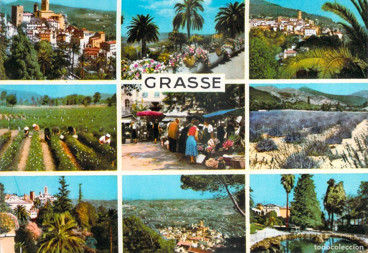 Postales: Postal Multivista de Grasse Francia con Campos de Lavanda